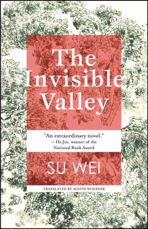 Cover of the book The Invisible Valley by Geoff Ryman