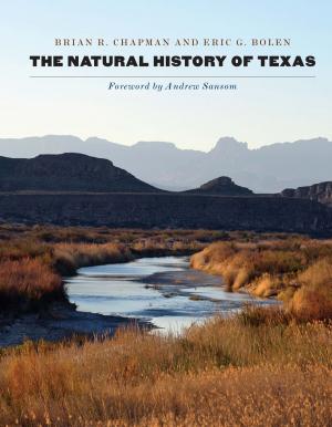 Cover of the book The Natural History of Texas by Jack Stokes Ballard