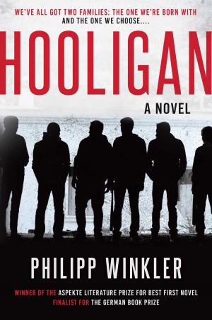 Cover of the book Hooligan by Marjorie Sandor