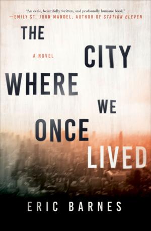 Cover of the book The City Where We Once Lived by Steven M. Nolt