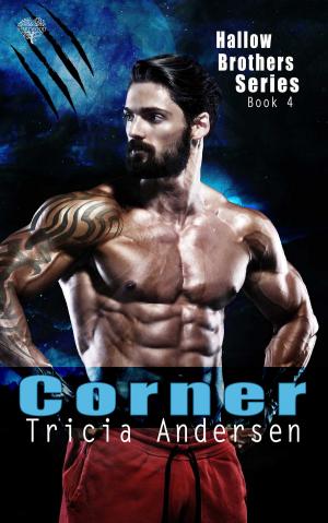 Book cover of Corner