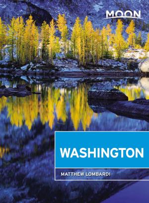 Cover of the book Moon Washington by Laura Martone