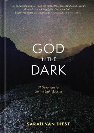 Cover of the book God in the Dark by Mike Treneer