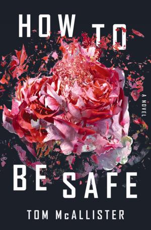 Cover of the book How to Be Safe: A Novel by Terrence Holt