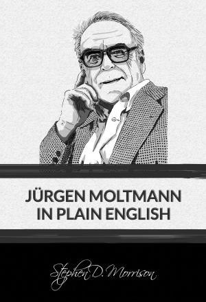 Cover of the book Jürgen Moltmann in Plain English by Tom Allen
