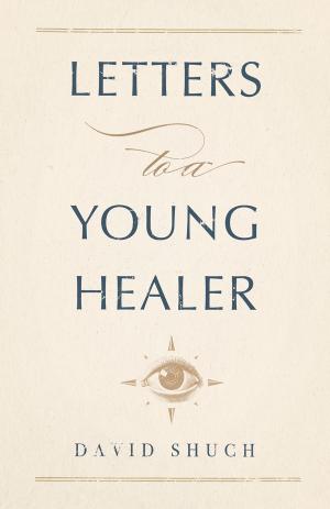 Cover of the book Letters to a Young Healer by Logan Snyder