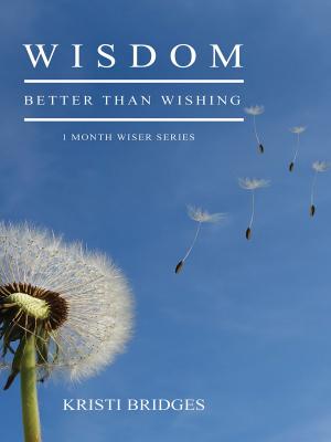 Cover of the book Wisdom Better than Wishing by Valerie Staggs