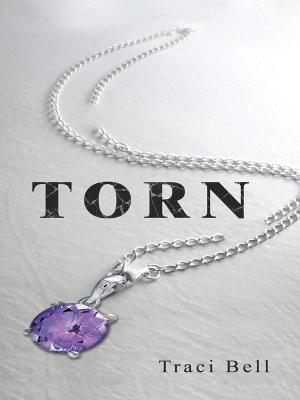 Cover of the book Torn by Sandra A. Crowe