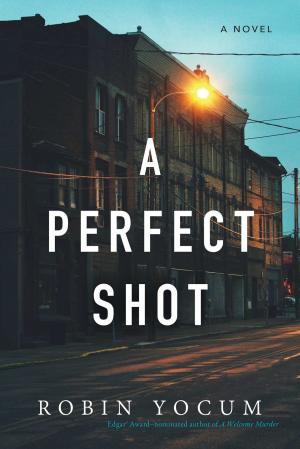 Book cover of A Perfect Shot