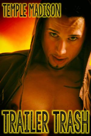Cover of the book Trailer Trash by C. Coal