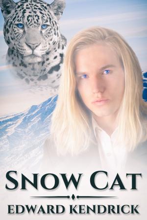 Cover of the book Snow Cat by Jovita efehi Obadolagbonyi