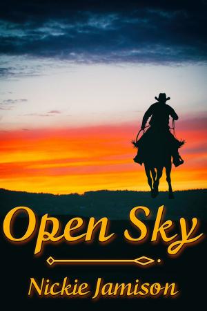 Cover of the book Open Sky by R.W. Clinger