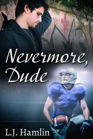 Cover of the book Nevermore, Dude by J.M. Snyder