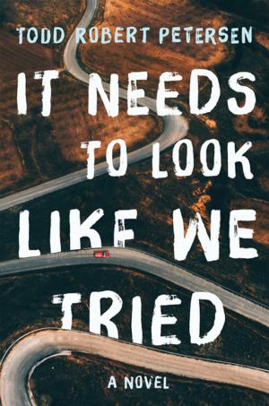 Cover of the book It Needs to Look Like We Tried by Wendell Berry