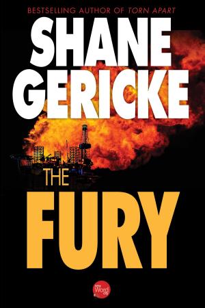 Cover of the book The Fury by Bernard A. Weisberger