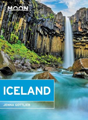Cover of the book Moon Iceland by Rick Steves