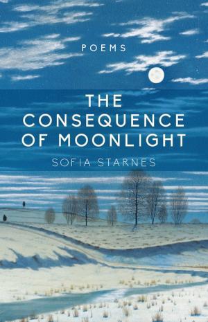 Cover of the book The Consequence of Moonlight by Andreas Andreopoulos