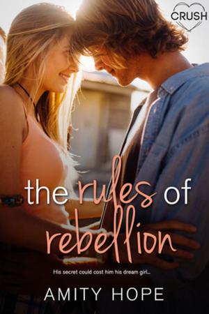 Cover of the book The Rules of Rebellion by Lorna James