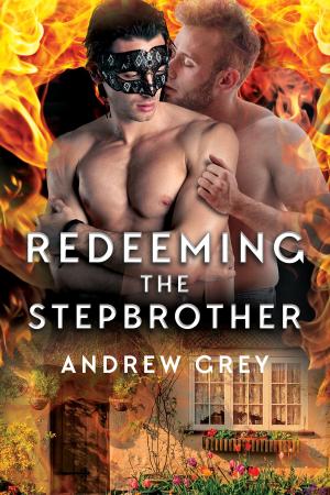 bigCover of the book Redeeming the Stepbrother by 