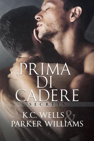 Cover of the book Prima di cadere by Clare London