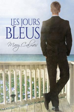 Cover of the book Les jours bleus by Brandon Witt