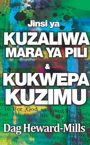 Cover of the book Jinsi Ya Kuzaliwa Mara Ya Pili na Kukwepa Kuzimu by Steve Nelson