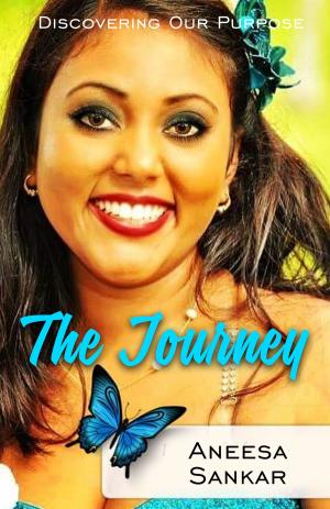 Cover of the book The Journey by Richard William Black
