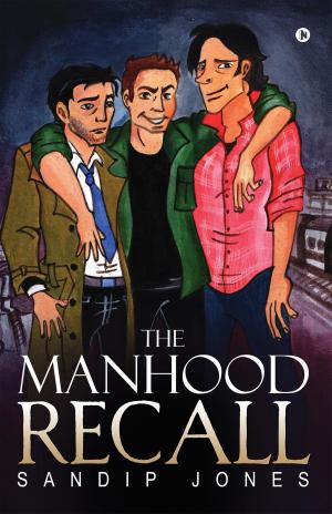Cover of the book The Manhood Recall by Diamondtaj Alli