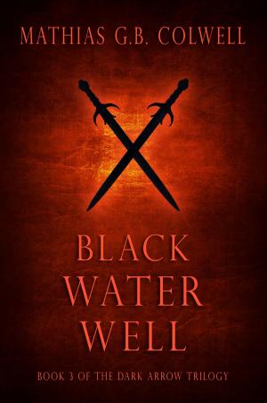 Cover of the book Black Water Well by April Marcom