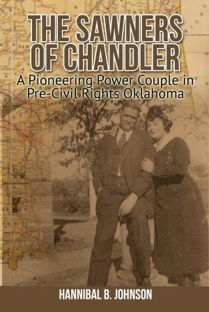 Cover of the book The Sawners of Chandler by J Jackson Owensby