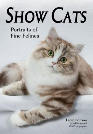 Cover of the book Show Cats by Jeff Smith