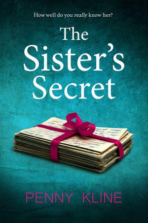 Book cover of The Sister's Secret