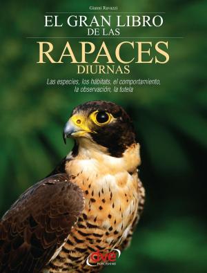 Cover of the book El gran libro de las rapaces diurnas by Kirk Mahoney, Ph.D.