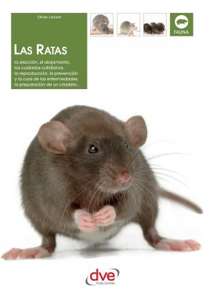 Cover of the book Las ratas: La elección, el alojamiento, los cuidados cotidianos, la reproducción, la prevención y la cura de las enfermedades, la preparación de un criadero... by Stefano Mayorca