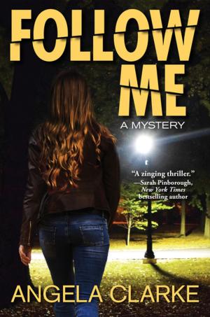 Cover of the book Follow Me by Holly Quinn