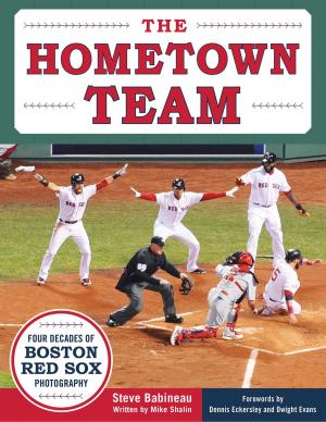 Cover of the book The Hometown Team by Andy Russell, Rocky Bleier
