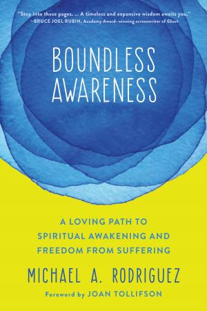 Cover of the book Boundless Awareness by Matthew T Tull, PhD, Kim L. Gratz, PhD, Alexander L. Chapman, PhD, RPsych