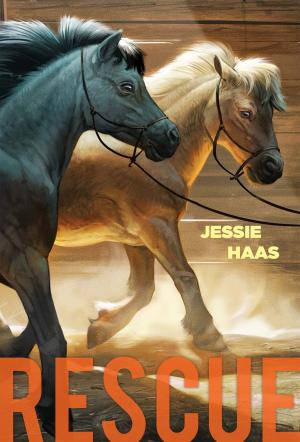Cover of the book Rescue by Julie Sternberg