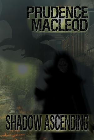 Cover of the book Shadow Ascending by Q.C. Masters
