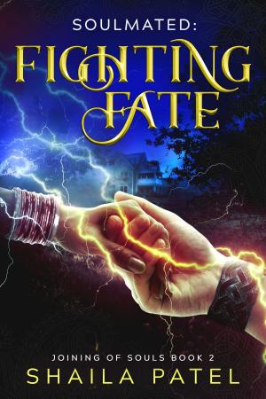 Cover of the book Fighting Fate by Jessica Miller