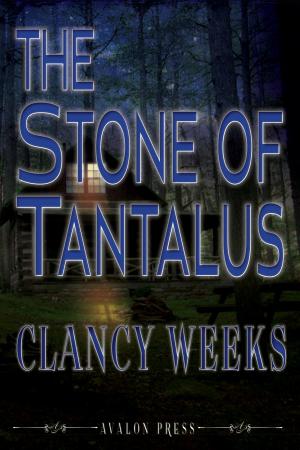 Cover of the book The Stone of Tantalus by Konstantine Paradias, Alan Bray