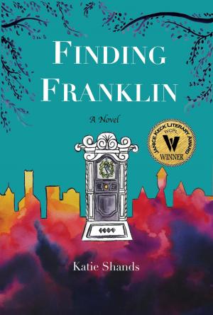 Cover of the book Finding Franklin by Catherine Johnson