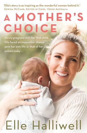 Cover of the book A Mother's Choice by Philip Gerard