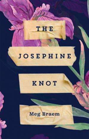 Cover of the book The Josephine Knot by Donna Michelle St. Bernard