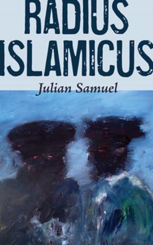 Cover of the book Radius Islamicus by Irena Karafilly