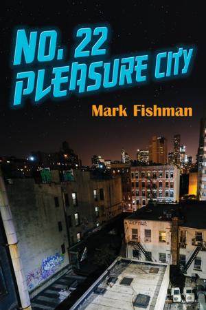 Cover of the book No. 22 Pleasure City by Oliver Scharpf