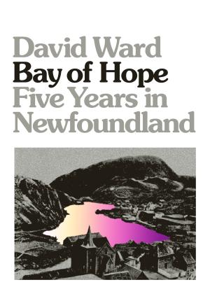 Book cover of Bay of Hope