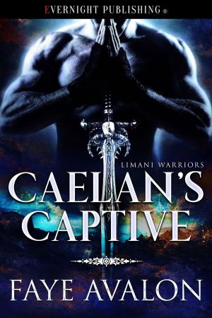 Cover of the book Caelan's Captive by Elodie Parkes