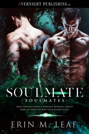 Cover of the book Soulmate by Sapphire Stiletto