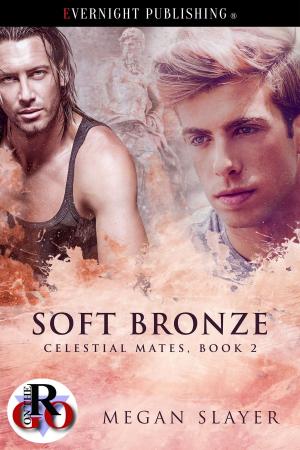 Cover of the book Soft Bronze by Xondra Day